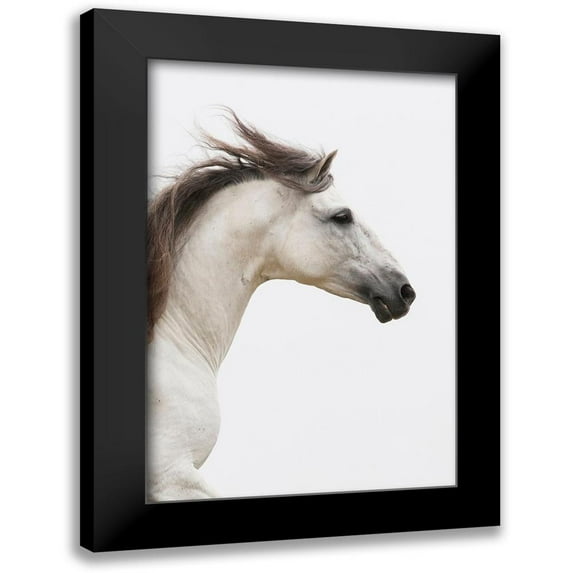 Walker, Carol 17x24 Black Modern Framed Museum Art Print Titled - Straight Ahead