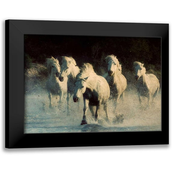 Walker, Carol 18x14 Black Modern Framed Museum Art Print Titled - White Running Horses