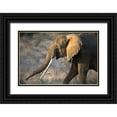thumbnail image 1 of Walker, Carol 24x17 Black Ornate Wood Framed with Double Matting Museum Art Print Titled - Gazing Elephant, 1 of 4