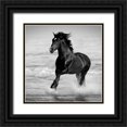 thumbnail image 1 of Walker, Carol 26x26 Black Ornate Wood Framed with Double Matting Museum Art Print Titled - Bay in the Water, 1 of 4