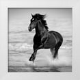 thumbnail image 1 of Walker, Carol 26x26 White Modern Wood Framed Museum Art Print Titled - Bay in the Water, 1 of 4