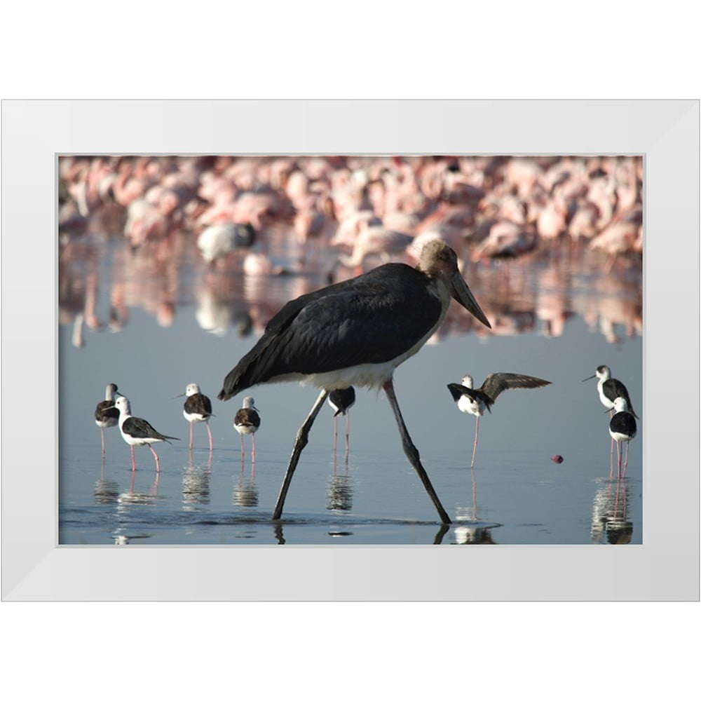 Flock Walker Walker, Carol 32x23 White Modern Wood Framed Museum Art Print Titled ...