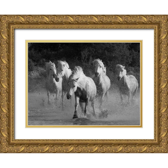 Walker, Carol 32x25 Gold Ornate Wood Framed with Double Matting Museum Art Print Titled - White Running Horses Border