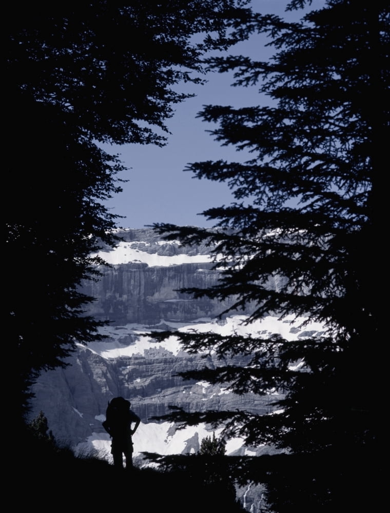Walker Climbing Up Hill Between Trees With The Cirque De Gavarnie Canvas Art - Ian Cumming Design Pics (12 x 15)