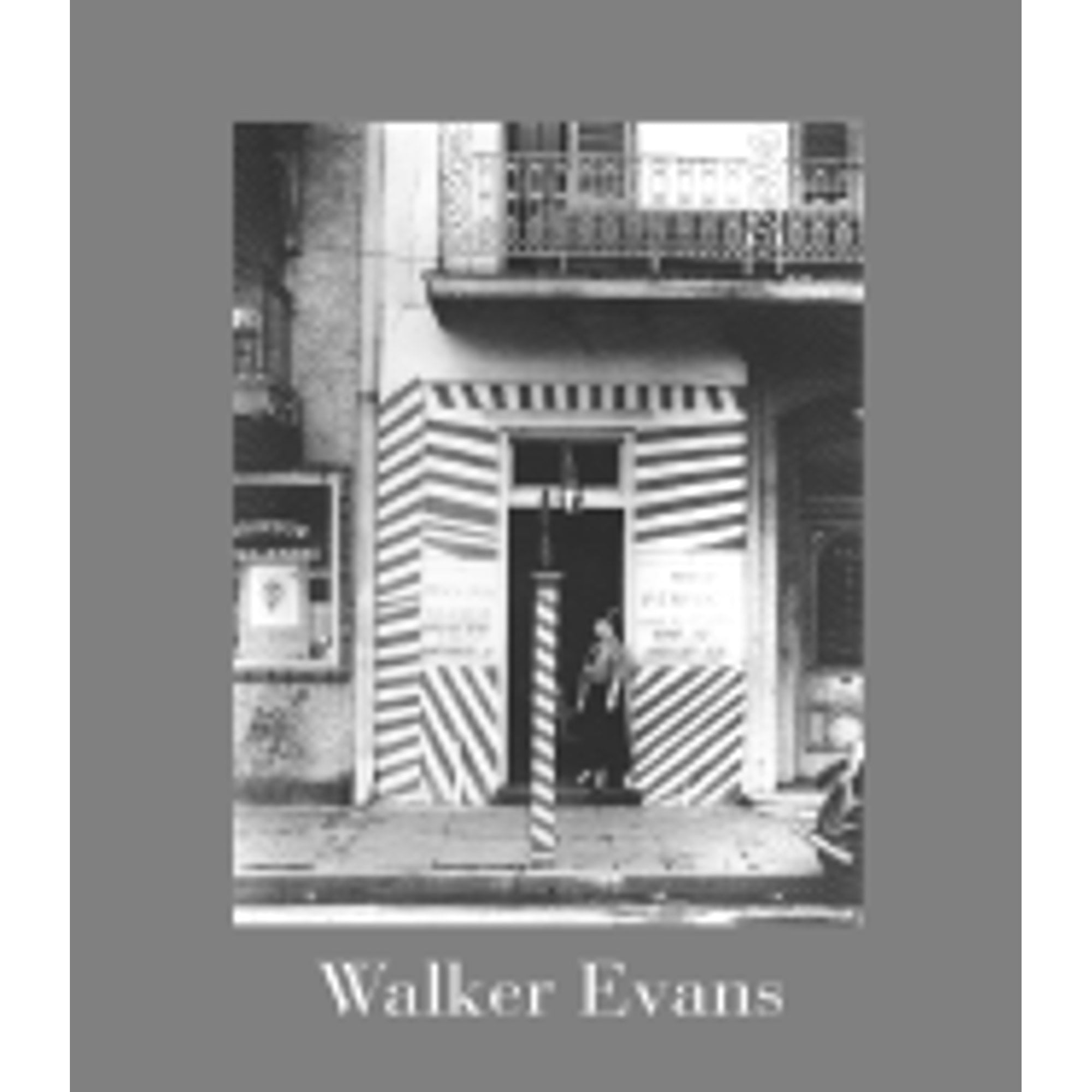 Pre-Owned Walker Evans (Hardcover 9780691050782) by Maria Morris Hambourg, Jeff L Rosenheim, Douglas Eklund