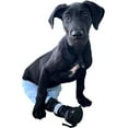 thumbnail image 1 of Walkin' Pet Splint for Dogs - Canine Rear Foot Splint - Small, 1 of 8
