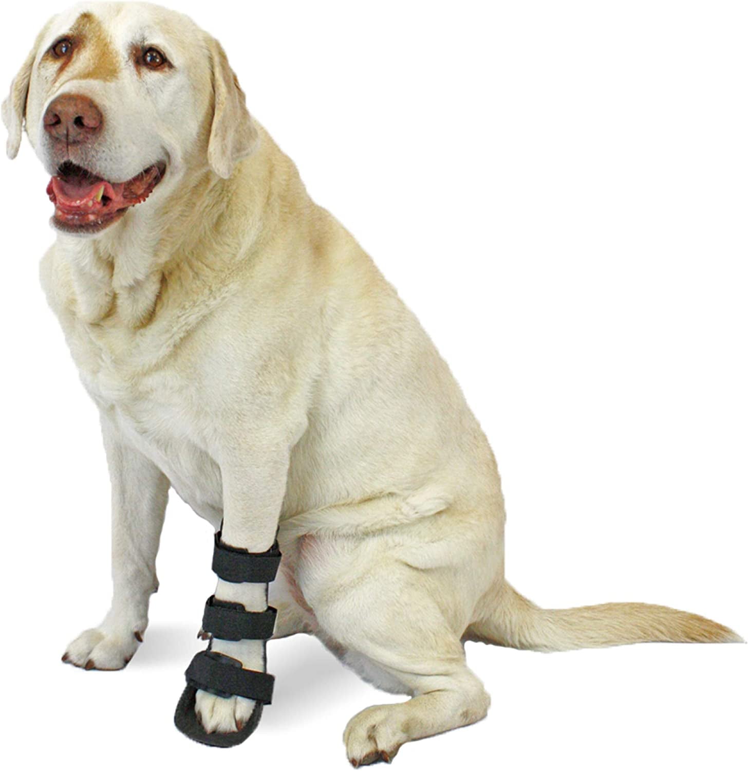 Dog leg brace petco top