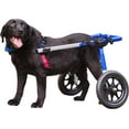 thumbnail image 1 of Walkin' Wheels Dog Wheelchair - Vet Approved - Large Dogs 70 -180 lbs, 1 of 8