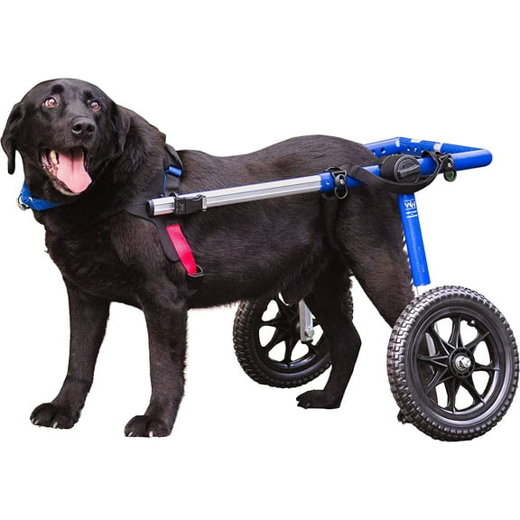 Walkin' Wheels Dog Wheelchair - Vet Approved - Large Dogs 70 -180 lbs