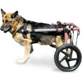 thumbnail image 1 of Walkin' Wheels Dog Wheelchair - Vet Approved - Large Dogs 70 -180 lbs, 1 of 8