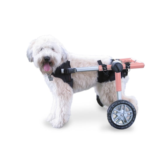 Walkin' Wheels Dog Wheelchair - Vet Approved - Medium Dogs 26 - 49 lbs