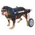 thumbnail image 1 of Walkin' Wheels Dog Wheelchair - Vet Approved - Medium Dogs 26 - 49 lbs, 1 of 10
