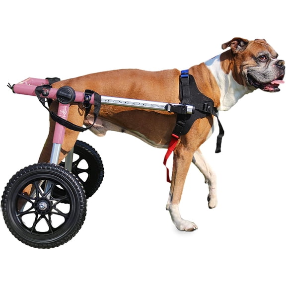 Walkin' Wheels Dog Wheelchair - for Med/Large Dogs 50-69 Pounds - Veterinarian Approved - Dog Wheelchair for Back Legs