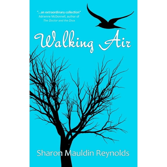 Walking Air (Paperback)