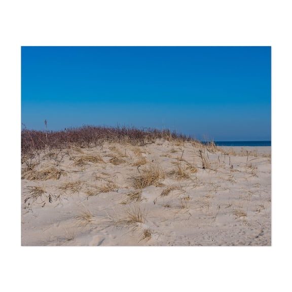 Walking Along the Trail to the Beach - Middletown Township New Jersey Photography Beach Coastal Nature Landscape Summer Minimalist Seaside Unframed Wall Art Print 4 x 6 inches