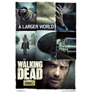 Walking Dead - Don't Look Back Poster Print (22 x 34)