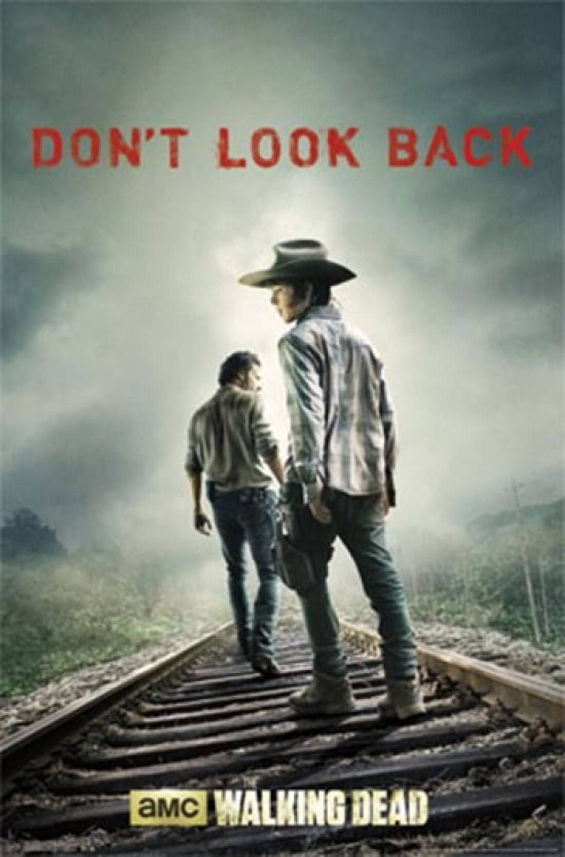 Walking Dead - Don't Look Back Poster Print (22 x 34)
