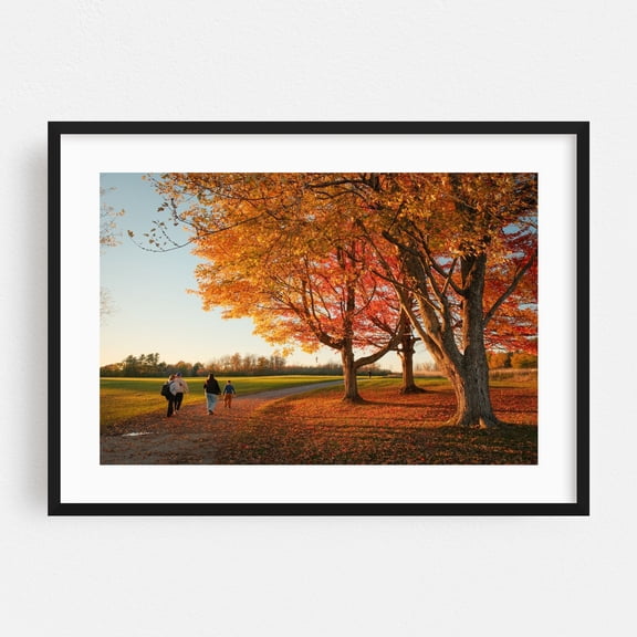 Walking at Knox Farm, East Aurora - East Aurora New York Photography Autumn Nature Scenic Landscape Woodland Rural Pastoral Black Framed Wall Art Print 24 x 36 inches