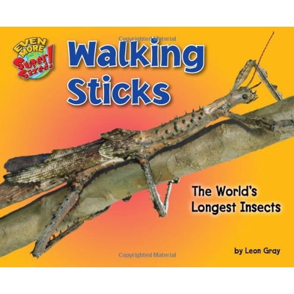 Pre-Owned Walking Sticks: The World's Longest Insects (Library Binding) 1617727334 9781617727337