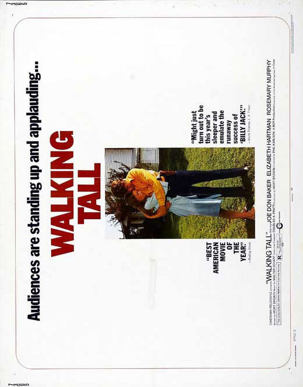 Walking Tall - movie POSTER (Half Sheet Style A) (22