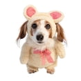 thumbnail image 1 of Walking Teddy Bear Pet Costume, 1 of 7