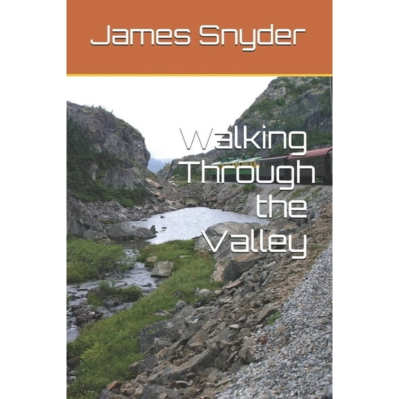 Walking Through the Valley (Paperback)