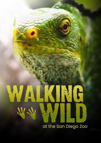 Walking Wild (DVD), Dreamscape, Documentary