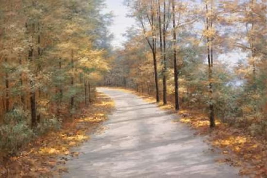 Walking in Fall Canvas Art - Diane Romanello (20 x 28)