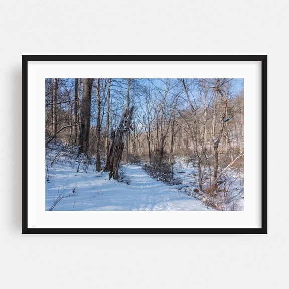 Walking in Nixon Park, York County, PA - Photography Winter Snow Forest Nature Woodland Scenic Wilderness Black Framed Wall Art Print 16 x 24 inches