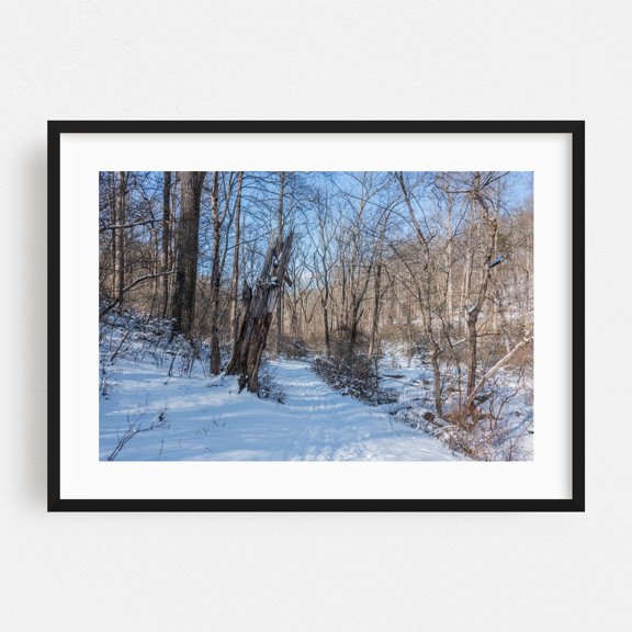 Walking in Nixon Park, York County, PA - Photography Winter Snow Forest Nature Woodland Scenic Wilderness Black Framed Wall Art Print 5 x 7 inches