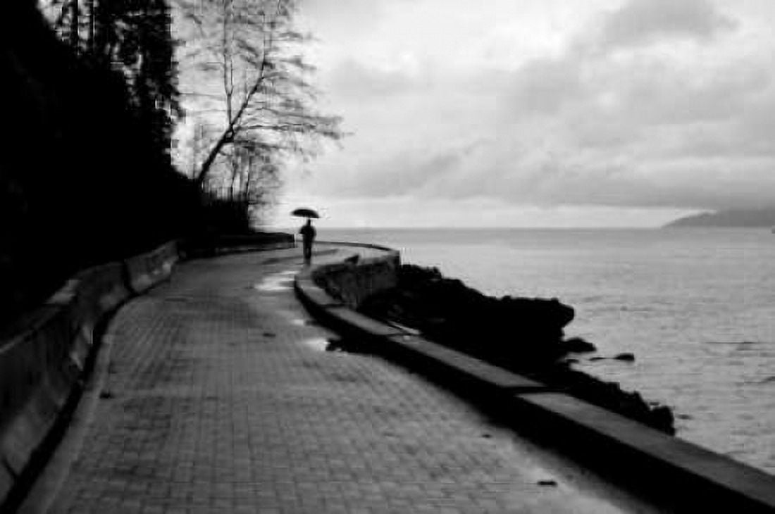 Walking in the Rain Canvas Art - Erin Berzel (24 x 36)