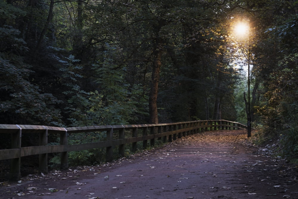 Walking path illuminated by a lamp post at dusk Newcastle Tyne and Wear England Canvas Art - John Short Design Pics (19 x 12)
