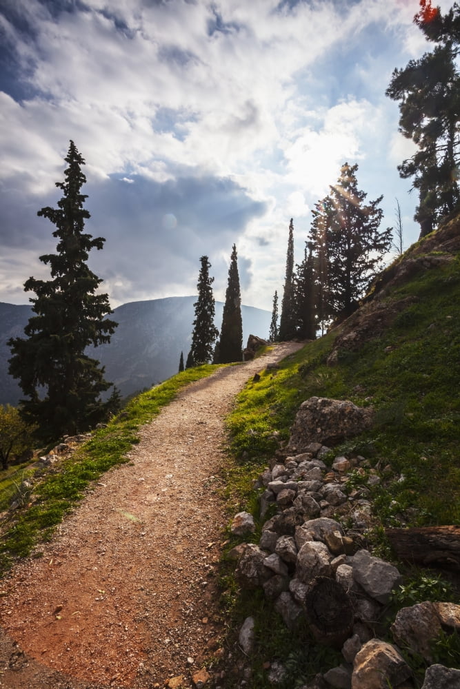 Walking path on Mount Parnassus Delphi Greece Canvas Art - Reynold Mainse Design Pics (12 x 19)