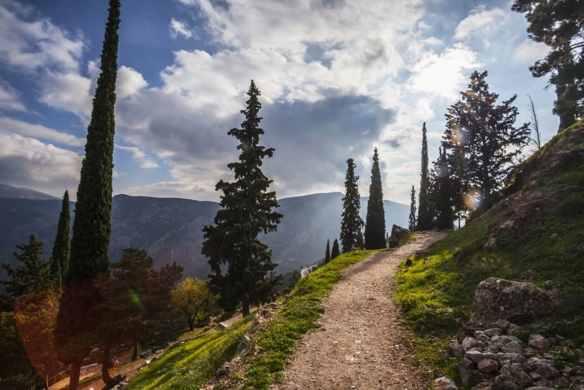 Walking path on Mount Parnassus Delphi Greece Canvas Art - Reynold Mainse Design Pics (38 x 24)