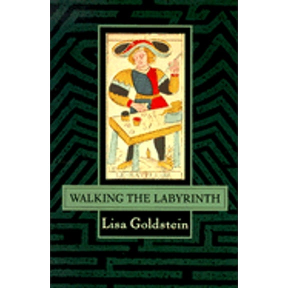 Pre-Owned Walking the Labyrinth (Paperback) 0312859686 9780312859688