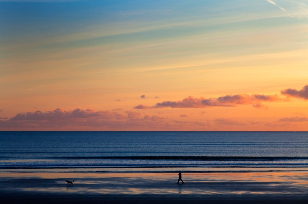 Walking the dog Tramore County Waterford Ireland Canvas Art - Panoramic Images (9 x 27)