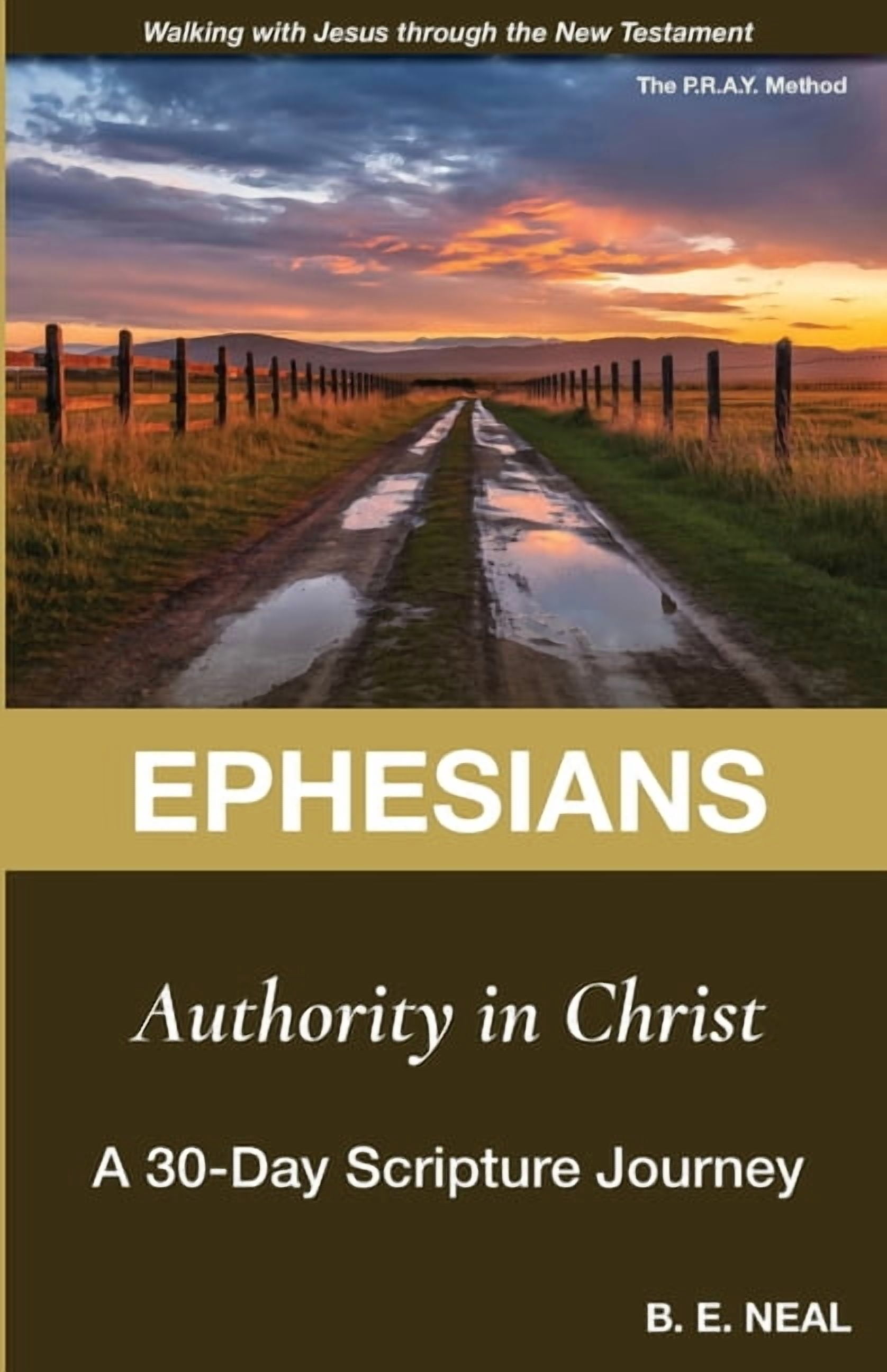 Walking with Jesus Through the New Testa Ephesians: A 30-Day Scripture Journal, (Paperback)