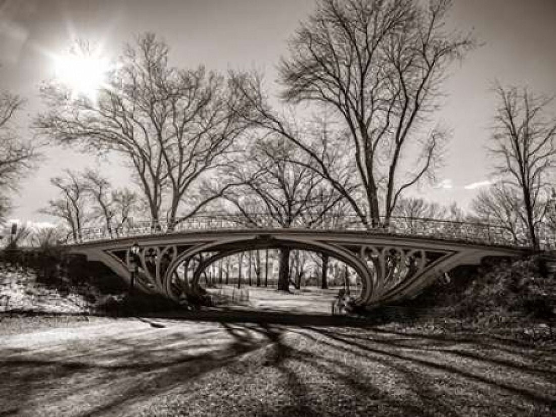 Walkway bridge in Central park New York Canvas Art - Assaf Frank (18 x 24)