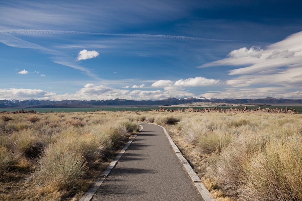 Walkway leading to a lake Mono Lake Lee Vining Mono County California USA Canvas Art - Panoramic Images (36 x 12)