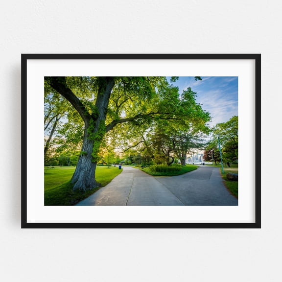 Walkways at Centre Island - Toronto Ontario Canada Photography Black Framed Wall Art Print 16 x 24 inches