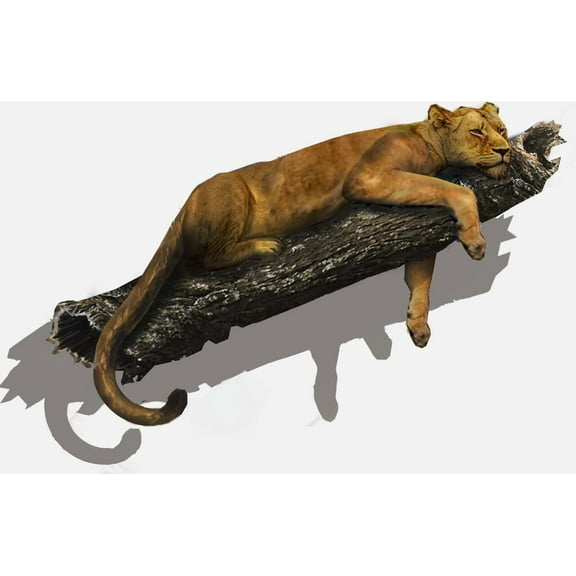 Wall-Ahhh!  3-D Floating Lioness Wall Decor Decal "Matriarch"