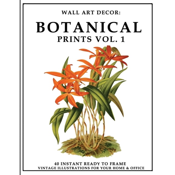Wall Art Decor Wall Art Decor: Botanical Prints Vol. 1: 40 Instant Ready to Frame Colorful Plant Illustration Art Prints for Your Home , Book 4, (Paperback)