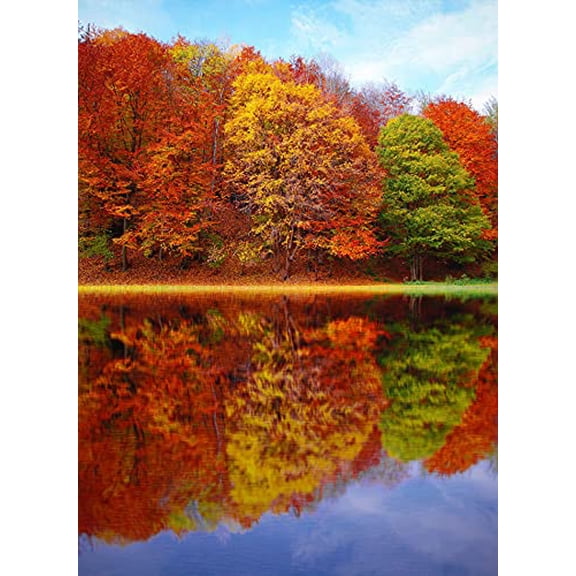 Wall Art Impressions 24x36in Autumn Scenery Pictures Photographic Print Poster Fall Colors, reflection clouds