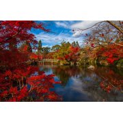 Wall Art Impressions 24x36in Autumn Scenery Pictures Photographic Print Poster landscape water nature plant leaf fall flower river pond foliage stream reflection