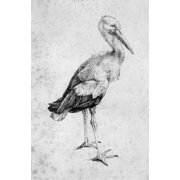 Wall Art Impressions 24x36in Fine Art Quality Poster The Work of Albrecht Durer guliverlooks