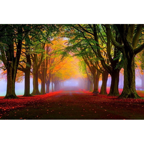 Wall Art Impressions 24x36in Park landscape Photographic Print Poster Autumn Scenery Pictures Autumn Trees
