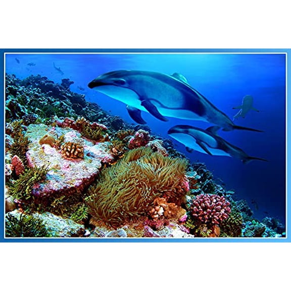 Wall Art Impressions 24x36in White Dolphins Photographic Print Poster Underwater World, Corals Art Print