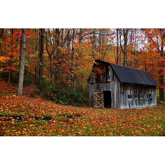 Wall Art Impressions 24x36in country barn Photographic Print Poster The World's Most Incredible Scenery Autumn Virginia