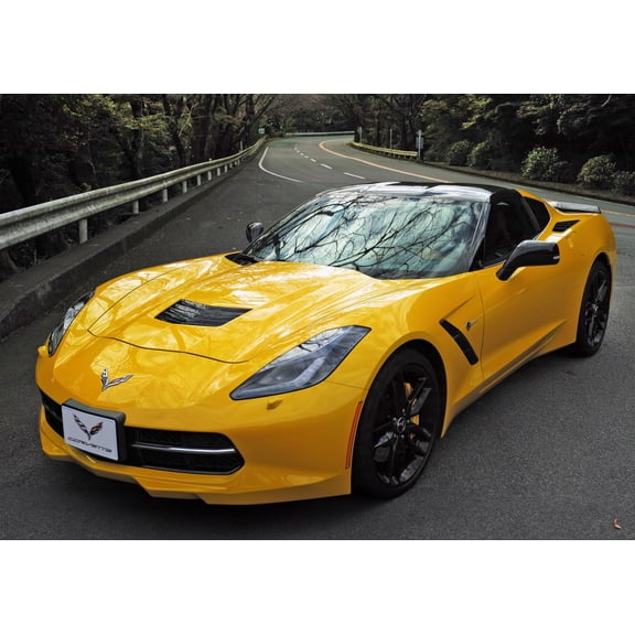 Wall Art Impressions 34x24in Poster Corvette Stingray Z51 2014 Front view C7