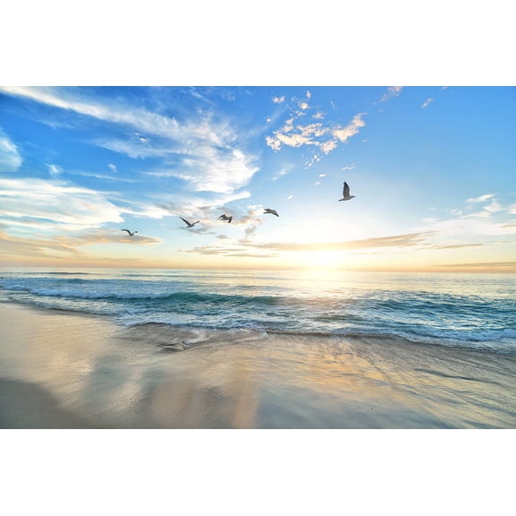 Wall Art Impressions 36x24in Photographic Print Poster Beach Birds Dawn Dusk Hd Wallpaper Nature Ocean